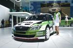 Skoda Fabia Super 2000 2010 года